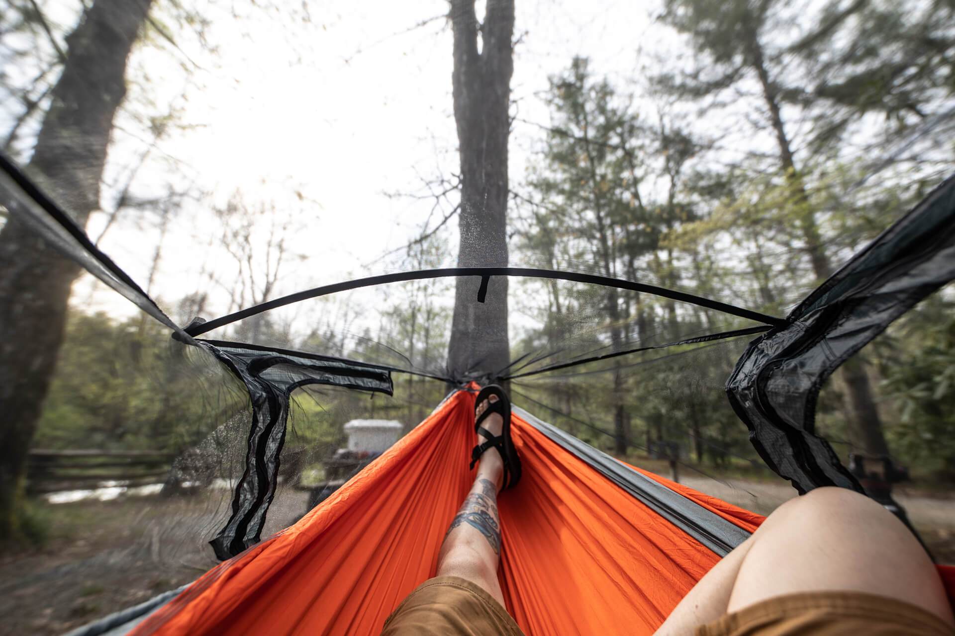 Guardian™ DX Bug Net - Image 5